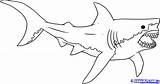 Shark Megalodon Coloring Pages Great Drawing Outline Cartoon Bull Realistic Print Color Printable Line Jaw Sketch Sharks Clipart Kids Paintingvalley sketch template