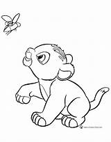 Nala Baby Coloring Lion sketch template