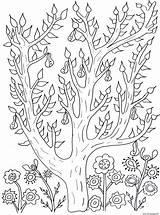 Coloring Tree Pages Adult Leaves Olivier Cute Pears Printable Color Flowers Print Garden Fleurs Adults Vegetation Et Simple Kids Book sketch template