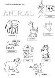 printable zoo animals worksheets  kids learning   read