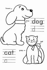 Coloring Pages Kindergarten Learning Kids Cat Educational Sheets Choose Board Colouring sketch template