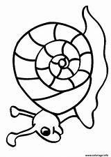 Escargot Colorat Coquille Hugo Imprimer Caracol Melci Animaux Dibujo Animale 1040 Planse Hugolescargot P10 Coloriages Dessiner Juegos Caracoles Animales Snails sketch template
