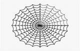 Printable Spider Web Coloring Pages Kids Inside Clip Clipartkey sketch template