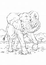 Elefanti Stampare Elefante Pianetabambini Versione Singolarmente sketch template