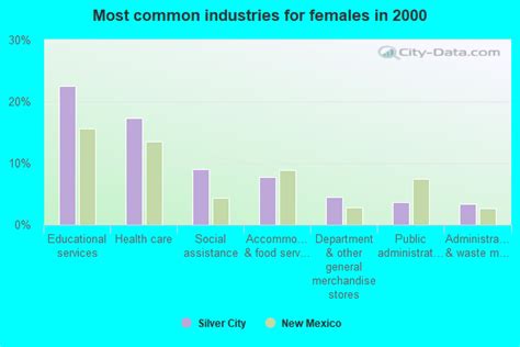 silver city new mexico nm 88061 profile population