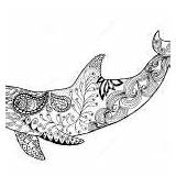 Zentangle Dolphin Colouring Vector Coloring Pages sketch template