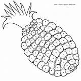 Coloring Pages Pineapple Fruits Color Kids Fruit Printable Food Nature Sheet Sheets Plate Do Found sketch template