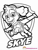Paw Skye Everest Badges Getcolorings Patrulla Clipartmag Starklx sketch template
