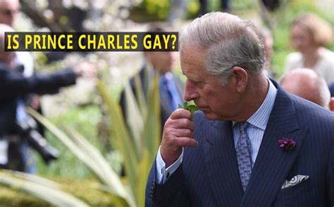 Prince william is gay
