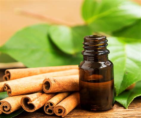 cinnamon leaf essential oil unique spa products