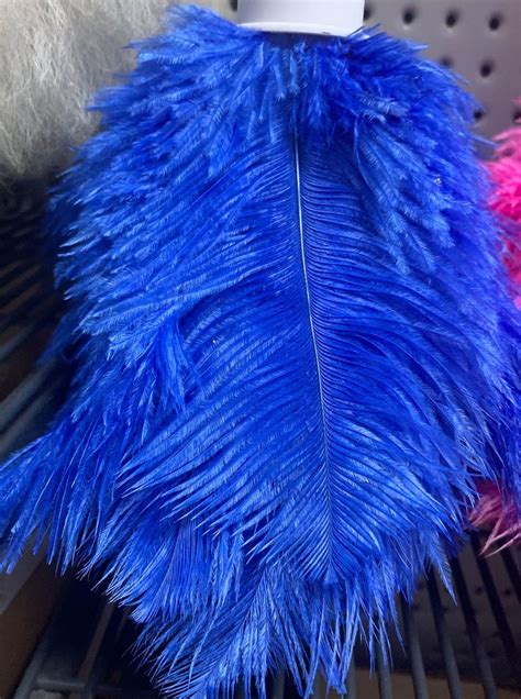 dyed feather duster mm blue cinderellas