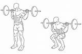 Squat Squats Exercise Barbell Weightlifting Agachamento Bilanciere Esercizi Weights Anatomy Position Benefit Heavy Clip Musculation Fessiers Bodyweight Kniebeugen Knieschmerzen Gambe sketch template