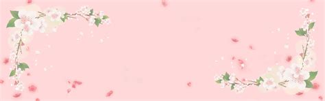 cherry blossoms falling banner flowers cherry blossoms pink background image