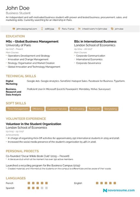 resume   experience  examples resume