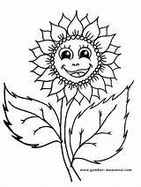Matahari Bunga Mewarnai Hitam Putih Populer sketch template