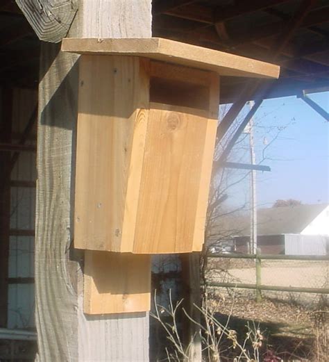 bluebird bird house slotted entrance sparrow resistant etsy