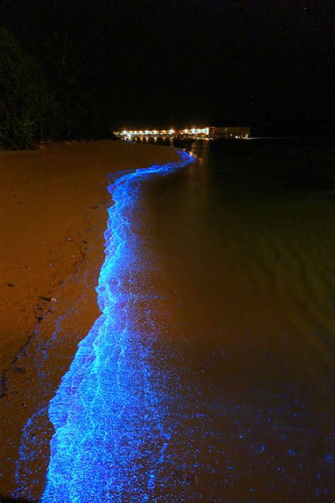 World S Most Beautiful Beach Glows Like Millions Of Stars