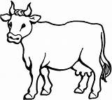 Cow Coloring Pages Kids Printable Cows Milch Coloring4free Color Stomach Print Drawings Netart Animals Big Choose Board Getcolorings Visit Drawing sketch template