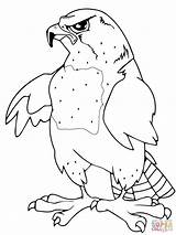 Ausmalbilder Falken Maskottchen Mascot Supercoloring Clipart sketch template