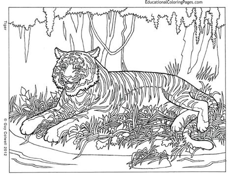 printable difficult animals coloring pages  adults dr