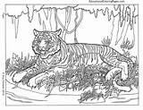 Coloring Pages Printable Animals Adults Difficult Print sketch template
