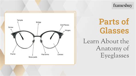 parts  glasses learn   anatomy  eyeglasses atelier yuwaciaojp