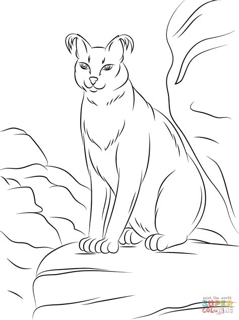 cute caracal coloring page  printable coloring pages