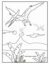 Pteranodon Dinosaurier Flugsaurier Malvorlage Ausmalen sketch template