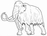 Coloring Pages Mammoth Printable Archaeology Template Getcolorings Pdf Getdrawings Museum Simon Fraser University Color sketch template