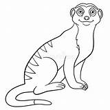 Meerkat sketch template