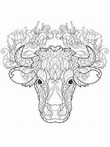 Mycoloring Cows Zentangle sketch template