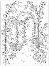 Garden Colouring Adults Magical Coloring Preston Lizzie Pages Butterfly Adult Book Secret Flowers Books Printable Kids Advocate Sheets Gardens Tsgos sketch template