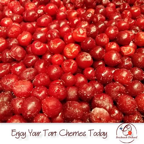 tart cherries frozen brecknock orchard llc