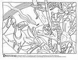 Coloring Pages Habitat Animal Camouflage Rainforest Amazon Color Forest Animals Drawing Habitats Sheets Printable Counts Getdrawings Getcolorings Blooming Spring Print sketch template