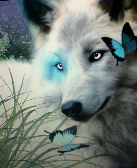 Beautiful I Love The Wolf And Butterfies Wolf