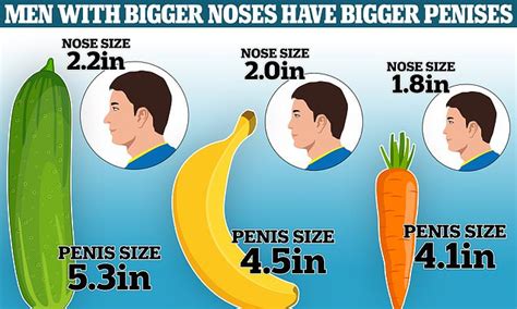forget big feet men with large noses tend to have bigger penises