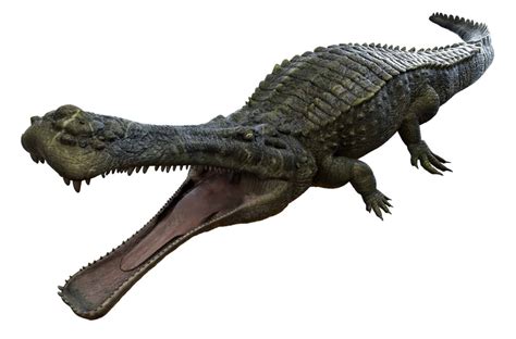 ancient dinosaurs    giant alligators animal worlds