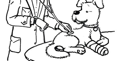 veterinarian drawing  getdrawings