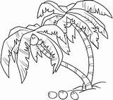 Coloring Palm Tree Pages Coconut Branch Drawing Colouring Leaves Getcolorings Getdrawings Printable Colorings Printablecolouringpages sketch template