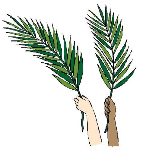 palm leaves clipart clipground