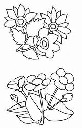 Coloring Pages Buttercup Flower Flowers Buttercups Getdrawings Other sketch template
