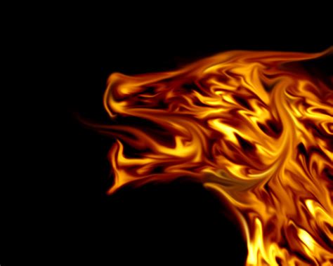 fire dragon funkyrach wallpaper  fanpop