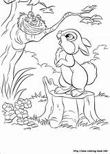 Coloring Disney Pages Bunny Bunnies sketch template