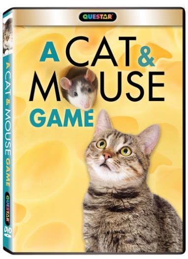 A Cat And Mouse Game