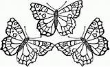 Butterfly Coloring Pages Printable Print Butterflies Monarch Cute Beautiful Colouring Color Adults Adult Template Caterpillar Drawing Animals Animal Big Detailed sketch template