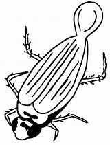 Mewarnai Insecten Colorare Ausmalbilder Malvorlagen Insekten Serangga Insetti Animasi Pollution Bergerak Animierte Animaatjes Animate Simili 1903 Malvorlagen1001 Clipartmag Animata Insetto sketch template