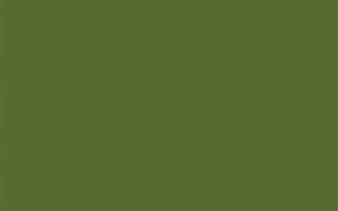 olive green wallpapers wallpaper cave