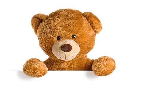 wallpaper id  brown  bear teddy cute teddy bear toy