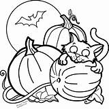 Pumpkin Coloring Cat Halloween Bat Fall sketch template