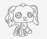 Lps Coloring Pages Pet Shop Printable Collie Seekpng sketch template